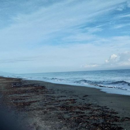 Un Nid Douillet En Bord De Plage !! Lucciana  Exterior photo